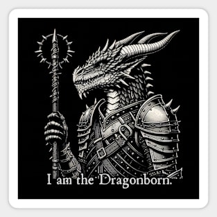 Dragonborn Sorcerer Magnet